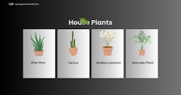 Best Garden Design Rememeber